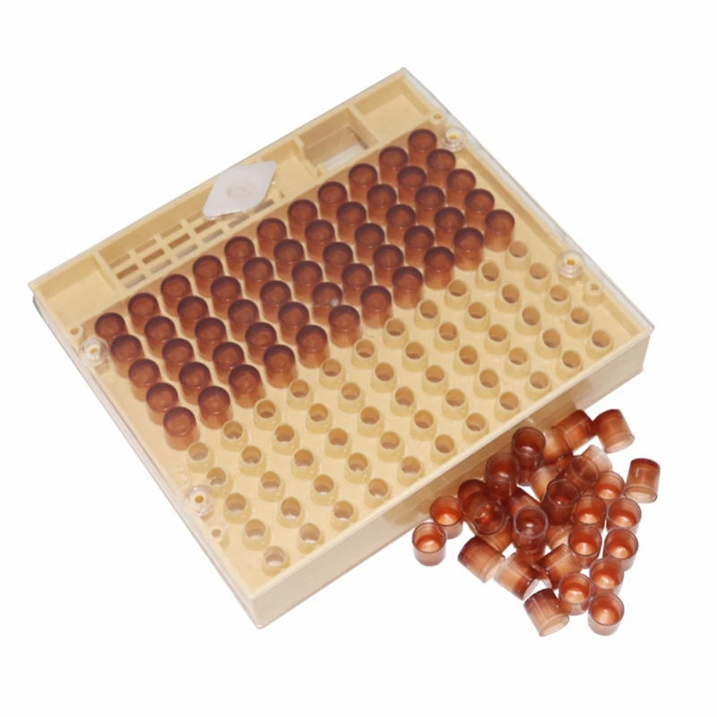 

120x Queen Breeding Box Brown King Taiwan Wangtai Protective Cover Bee Breeding King Box Full Set Of Bee