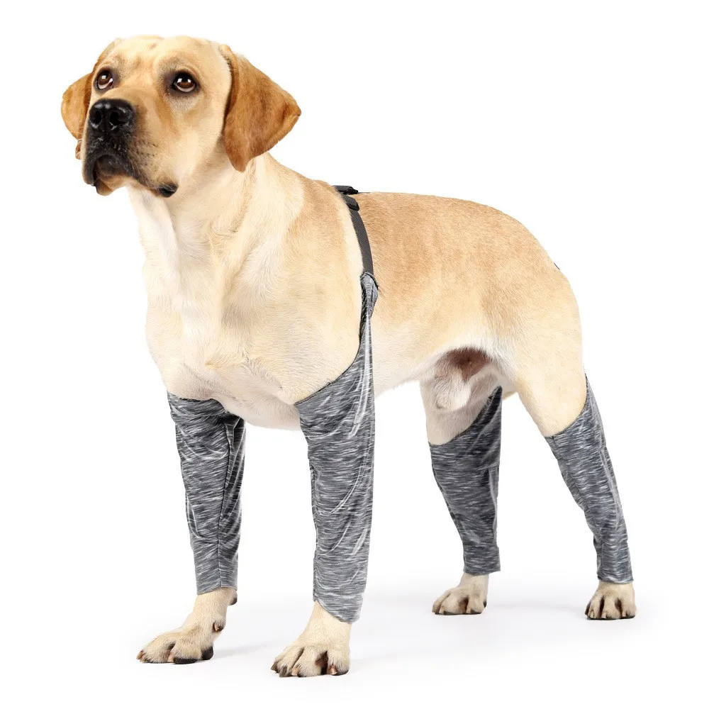 Dog Back Leg Wound Cover