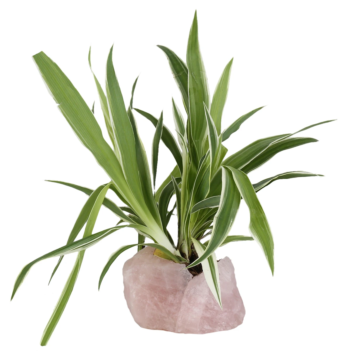 TUMBEELLUWA Natural Rough Rose Quartz Candlestick Irregular Candle Holder Potted Plants Table Decoration Home Decor Ornaments