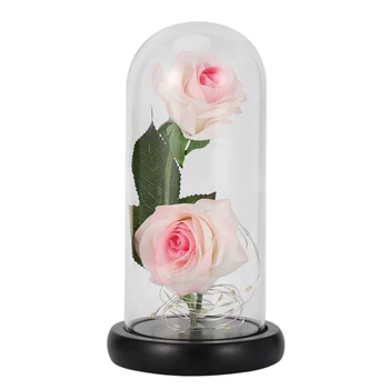 

Roses Enchanted Red Silk Rose with Fallen Petals Led Fairy String Lights in a Dome, Gifts for Anniversary, Wedding