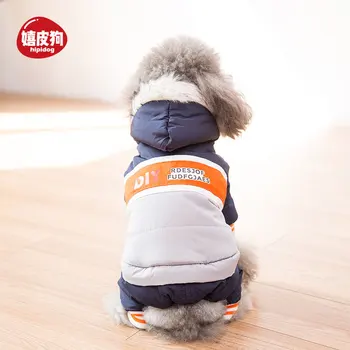 

small dogs teddy trying to keep warm autumn and winter clothing pet collars cotton-padded jacket dress four feet