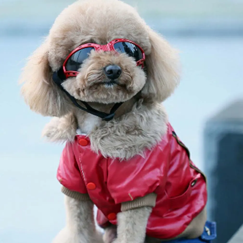 Medium Large Dogs Glasses Pets Goggles Pets Sunglasses Pets Supplies Pets Products Fashion Goggles