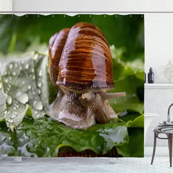 

Shower Curtain Set with Hooks 72x72 Helix Outdoor Pomatia On Wet Maple Leaves Edible Animals Speed Wildlife Antenna Food Farm