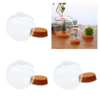 

3pcs Glass Cloche Dome Cover Terrarium Container Miniature Display Bell Jar