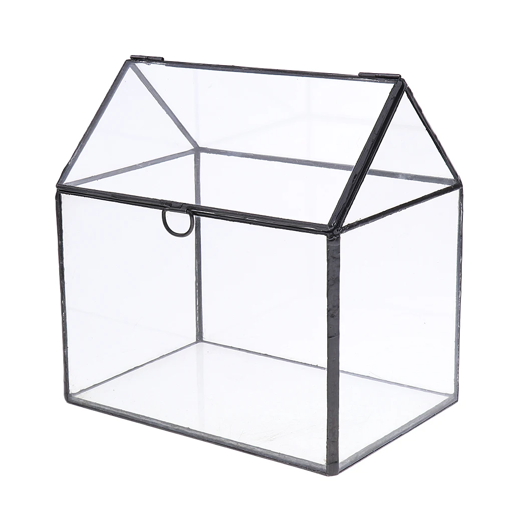 Irregular Glass Geometric Terrarium Box Tabletop Succulent Air Plant Fern Moss Pot Planter