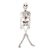 Active Human Skeleton Model Anatomy Skeleton Skeleton Model Medical Learning Halloween Party Decoration Skeleton Art Sketch ► Photo 3/6