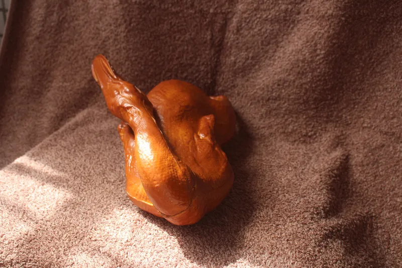 IMG_5182 duck