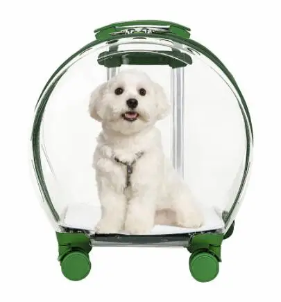 pets toy 2 Store