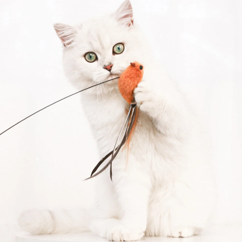 Pet Cat Toy Teaser Bell Feather Stretch Fishing Rod Play Wand Interactive Toys Pets Accessories High Qulity Replacement Heads