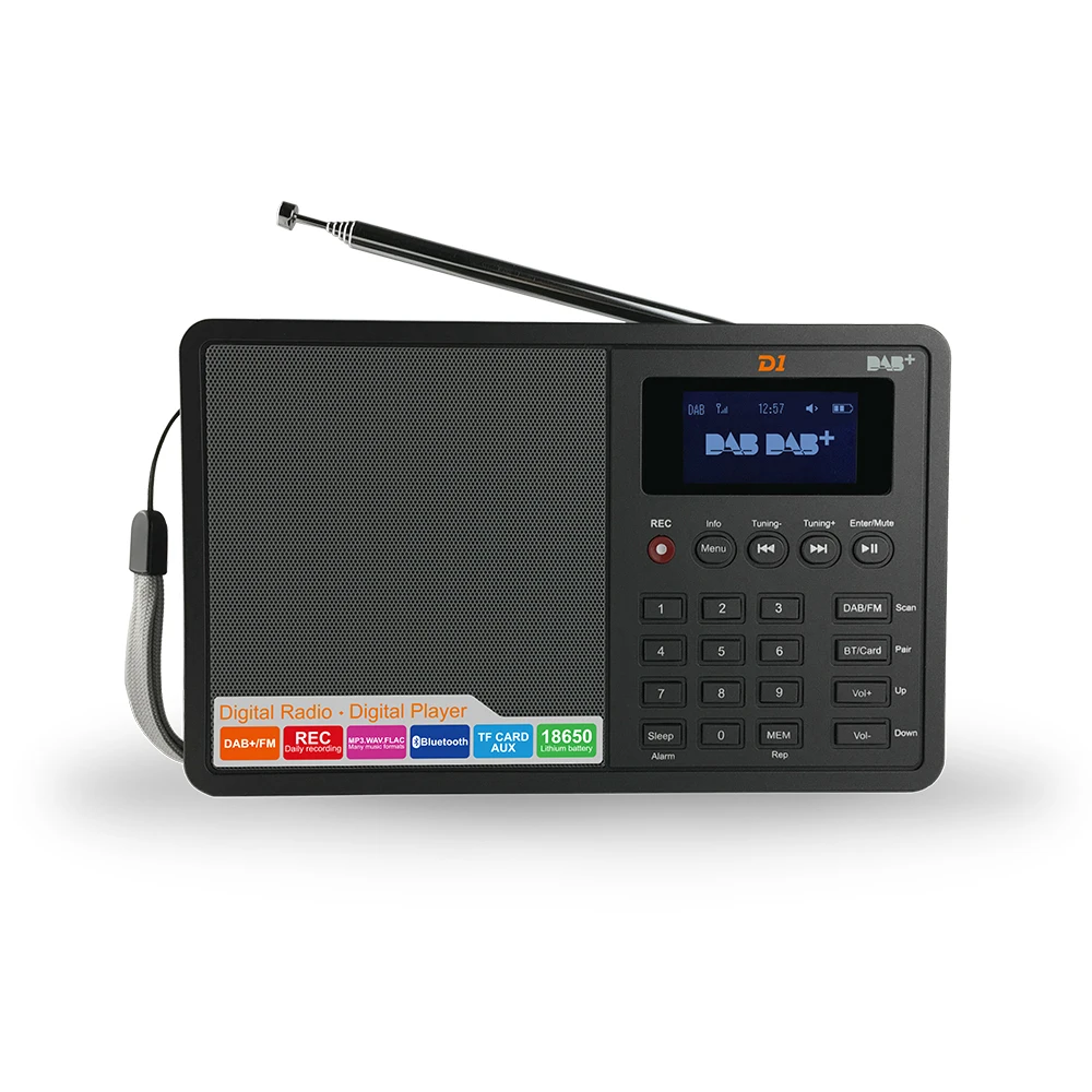 

D1 Portable Digital Radio FM Stereo/ RDS Multi Band Radio Speaker With LCD Display Alarm Clock