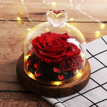 

Red Rose In Glass Dome Beauty and The Beast Real Immortal Flower Exclusive Rose LED Lamp Valentine's Day Christmas Birthday Gift