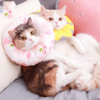 

OUYXR Cat Headgear Toy Anti Biting Ring Elizabeth Circle Humiliation Circle Cartoon Shield