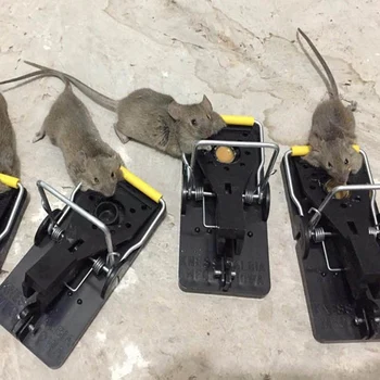 

Mouse Trap Professional Rat Trap Set Of 10 Effective Mouse Traps Snap Trap Rodent Control Mouse Catcher