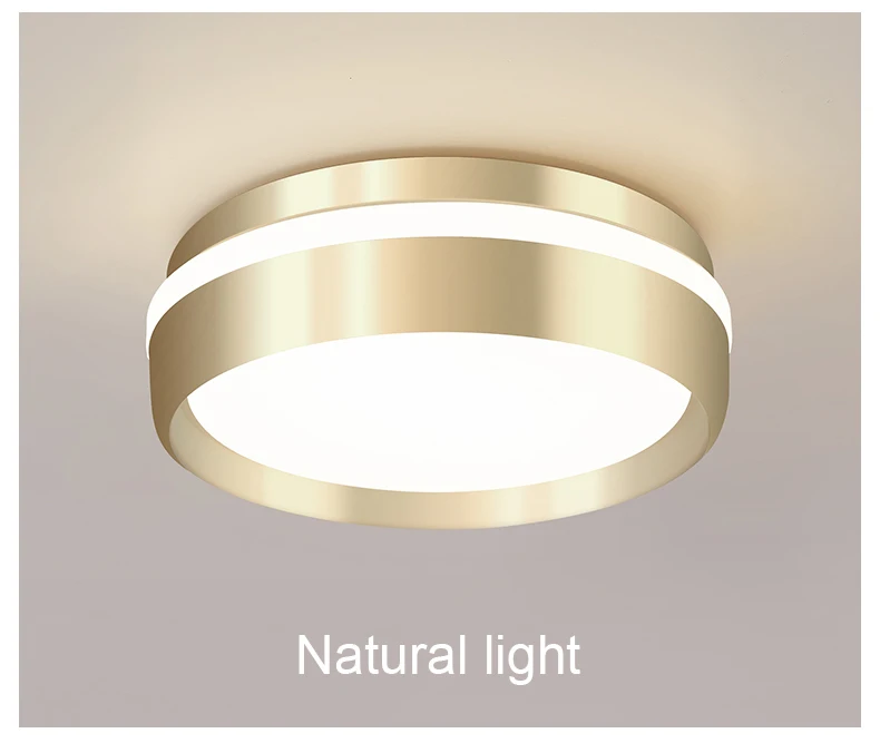 Modern Led Ceiling Lights For Living room Hallway Kitchen Bedroom decor Nordic Industrial Bar Corridor Lamp Indoor plafondlamp