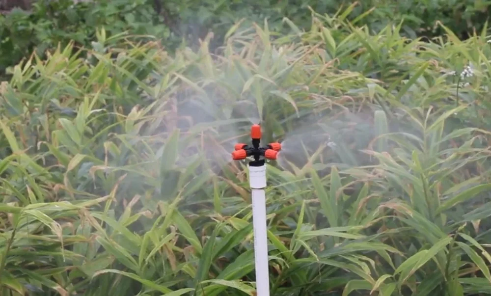 搜狗截图20年03月12日2107_4