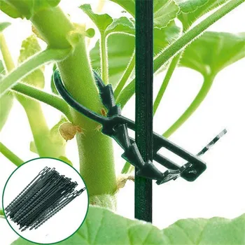 

Green Gardening Tie Wrap Plant Pot Mark Garden Tool Vine Fixed Plants Greenhouse Vegetables Fastening Clips Garden Cages