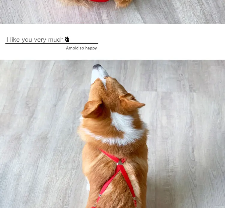 O1CN01FKDT7C1j8Q3v954xB_!!144304503