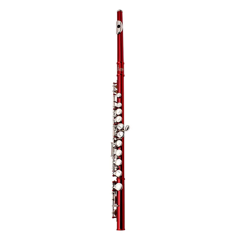 Professional Flutes Musical Instruments Chinese Dizi Flauta 16 Holes C Key Woodwind with Gloves Mini Screwdriver Padded Case