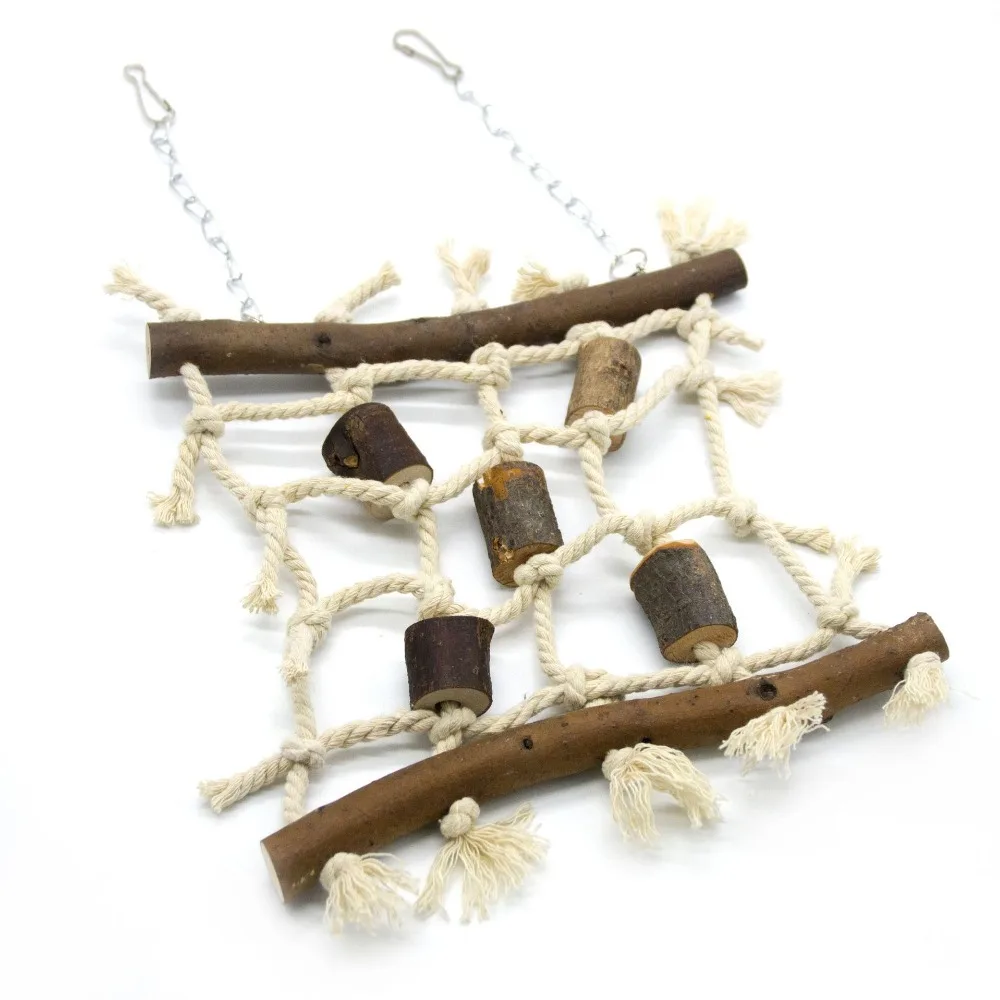 5240808812_1550852929