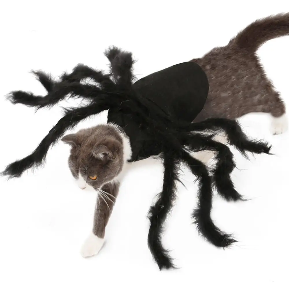 Cat/Puppy Cosplay Spider Harness Costume Halloween Pet Dress up Costumes Outfit Afoxsos Halloween Pet Spider Costume 