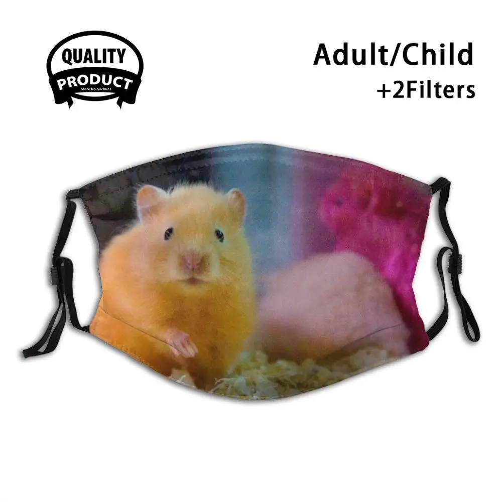Don'T Look So Surprised! Anti Dust Face Mask Washable Filter ReusableAnimal Company Familiar Hamster Pet Rat | Аксессуары для