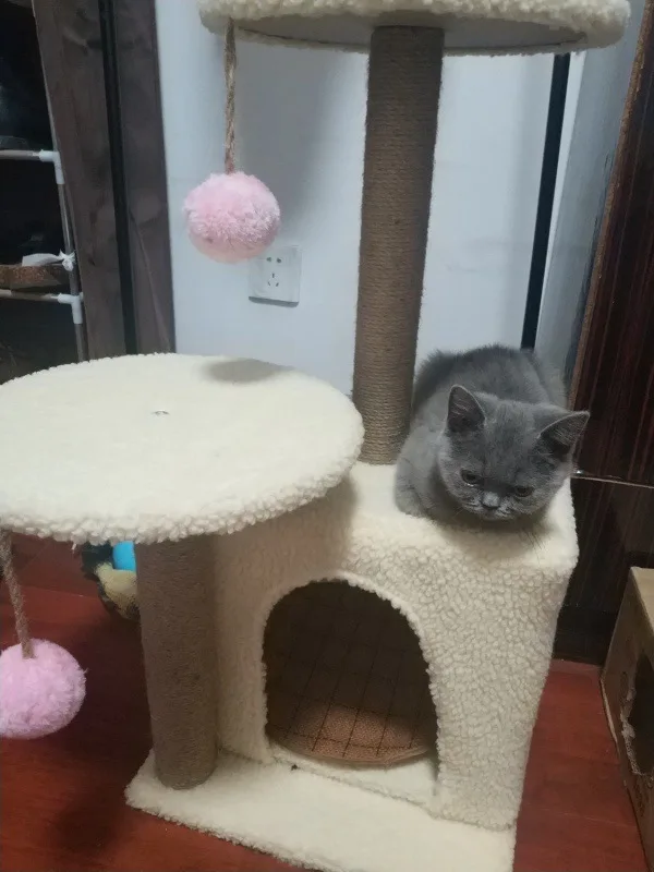 

Medium Cat Climbing Frame Sisal Claws Grinding CAT'S Paw Column Cat Nest Cat Tree Cat Scratch Trees Pet Cat Toy