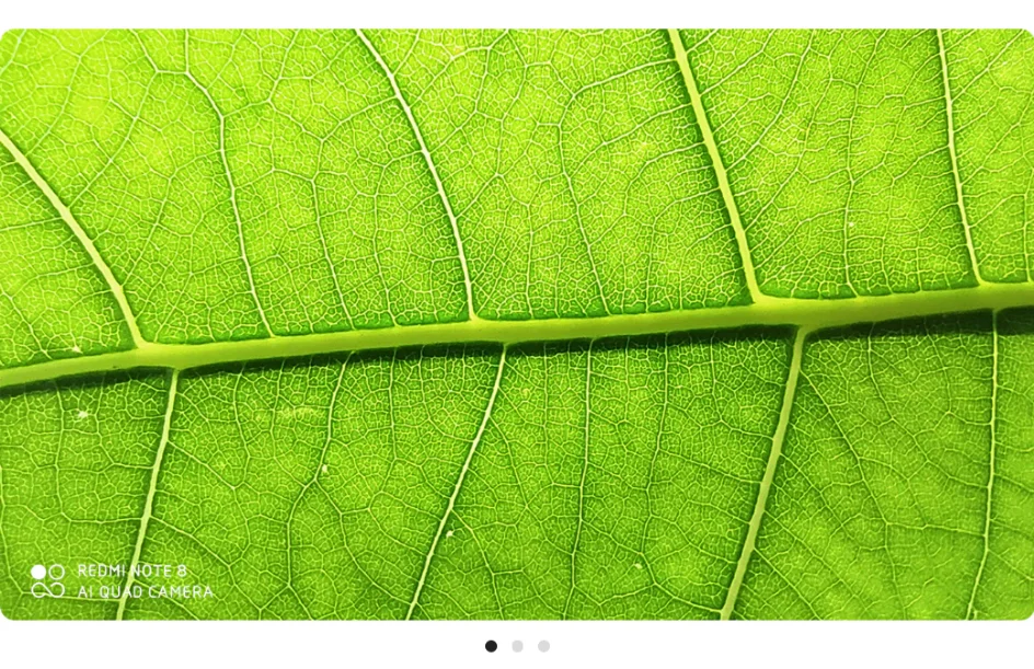 Redmi-Note-8-详情页-PC-08-1