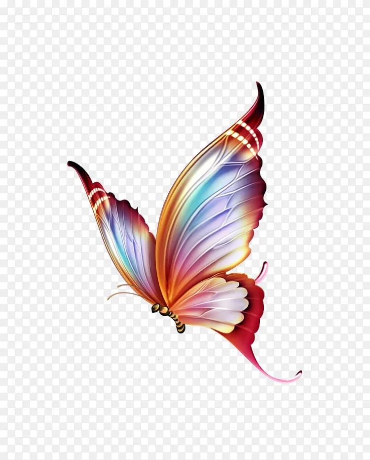 蝴蝶彩绘剪贴画.键盘