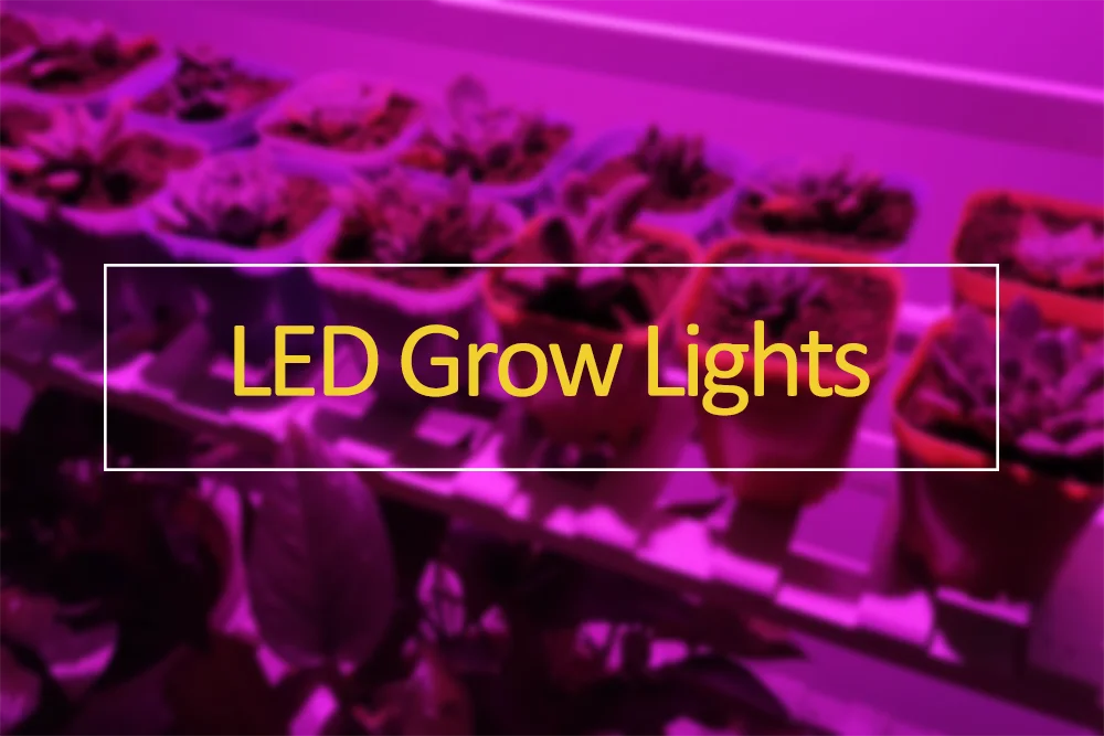 Садоводство Growlight 130V 1250W лампа для культуры