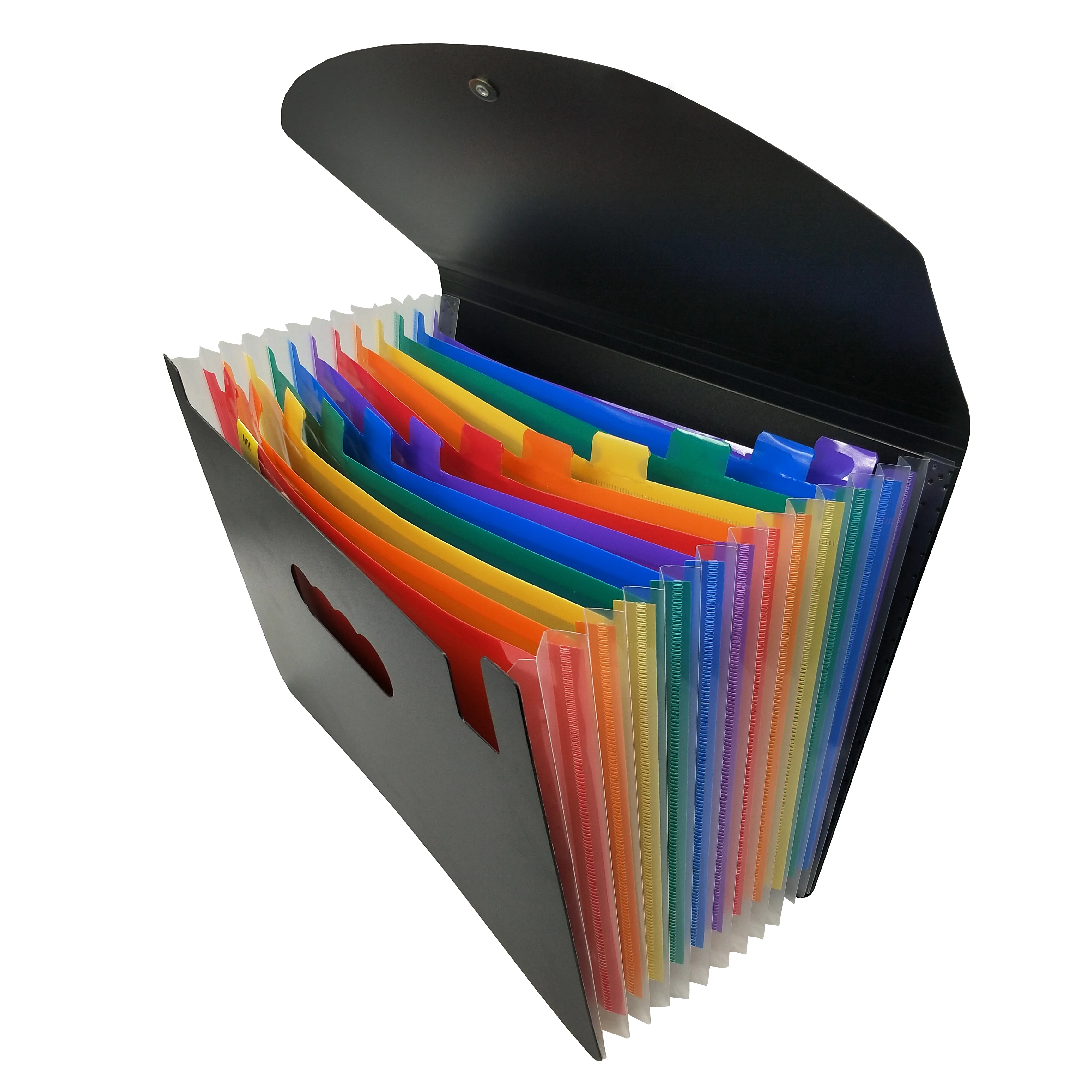 Plastic Expanding School File Folder Document Bag 13 Pockets Paper Organizer 