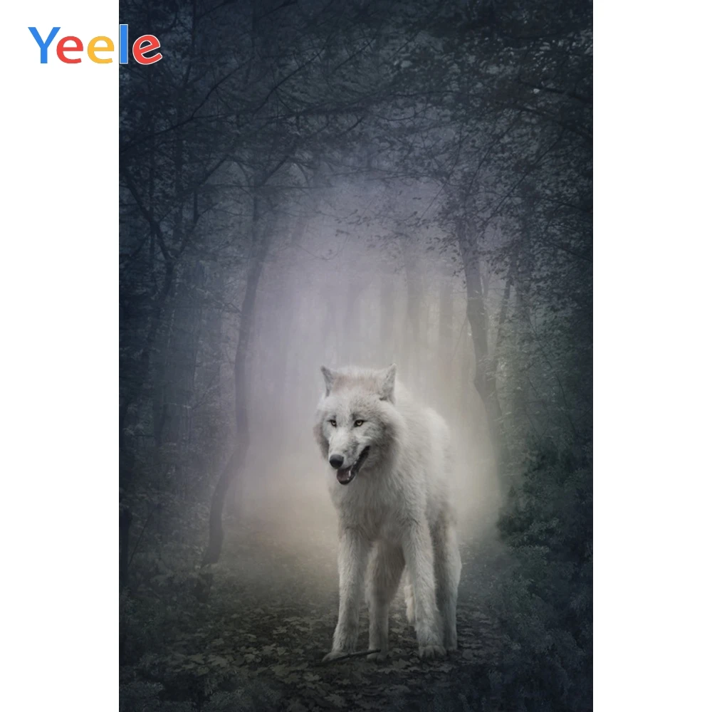 Yeele Белый Волк ЛЕС ДЕРЕВЬЯ Фэнтези Глен животное фотосессия фотография фонов