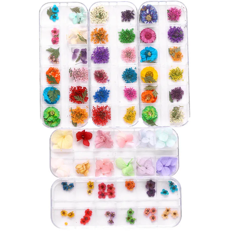 Горячие продажи Натуральные высушенные цветы 3D дизайн ногтей Декор советы из серии «сделай сам» Маникюр 12 цветов Мода