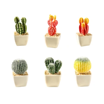 

Mini Simulated Tropical Plant Cactus Bonsai DIY Home Office Desktop Party Floral Ornaments Creative Decoration Scene Layout