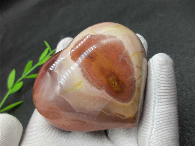 IMG_6494