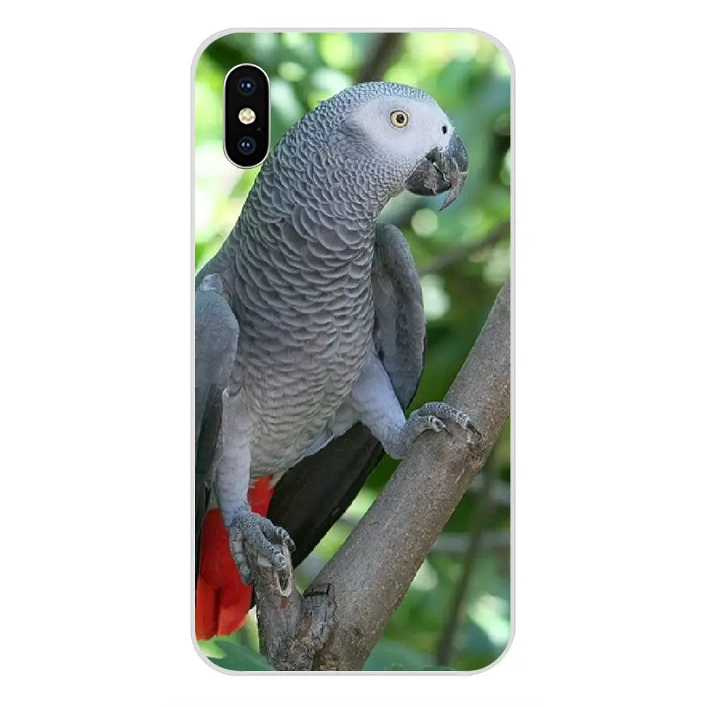 ТПУ кожа Paintin для Xiaomi Redmi Mi 4 7A 9T K20 CC9 CC9e Note 7 9 Y3 SE Pro Prime Go Play Blue Ringneck Parrot Art Print|Бамперы| |