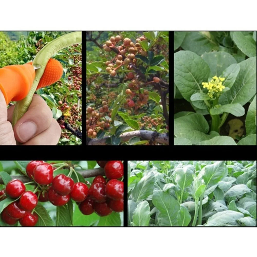 ad3aaa346ed63928c03432ff5bf926db