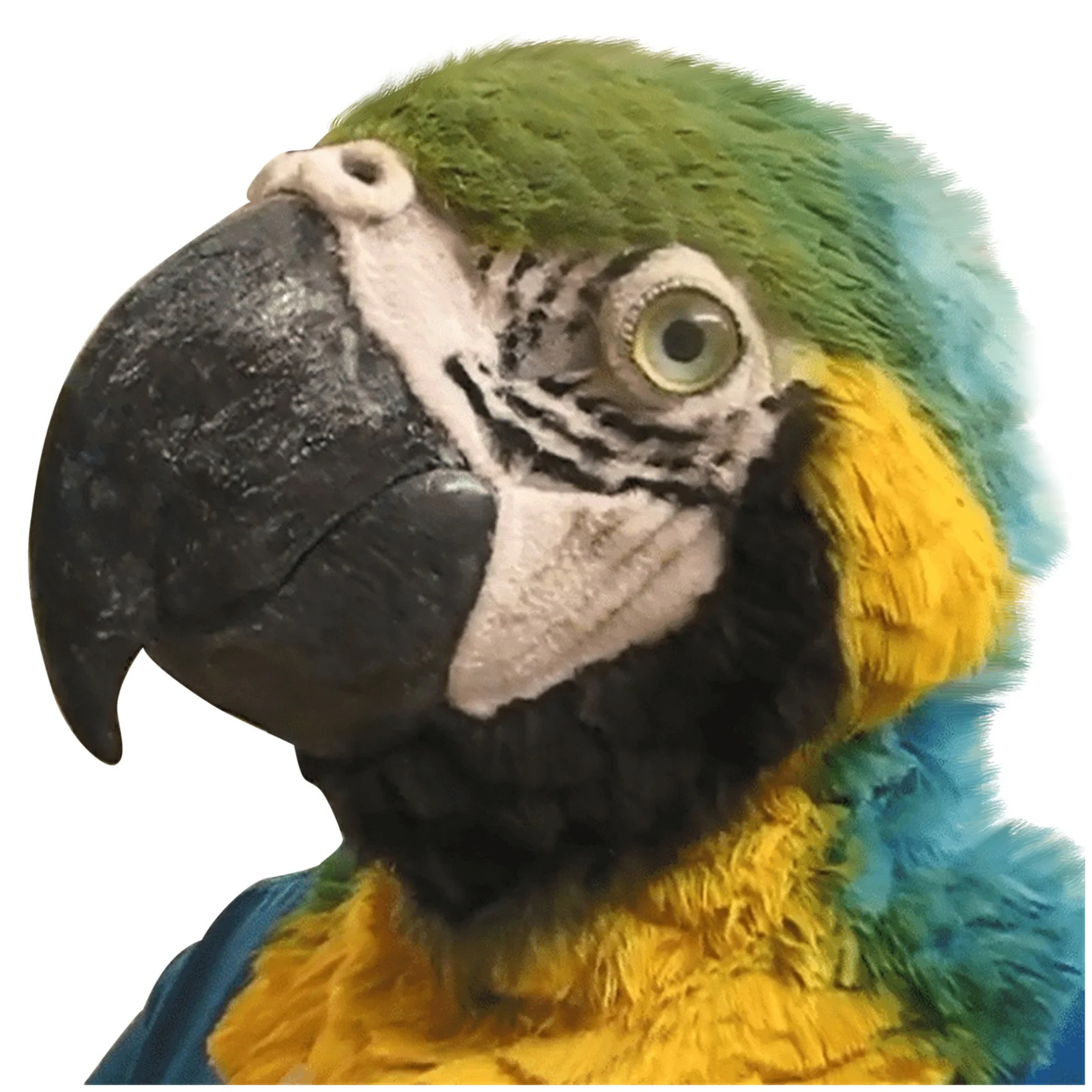 

Bird Parrot Headwear Costume Mask Pug Silicone Half Face Mask Halloween Party Kids Funny Face Mask Cosplay Toys Party Decor