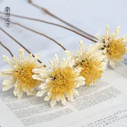 Васильковый натуральный завод искусственная Хризантема искусство натуральные сухоцветы Домашний Декоративный букет Хризантема