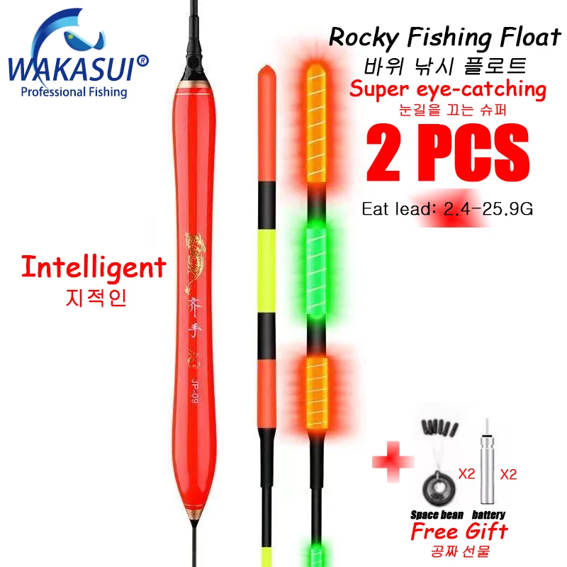 

2021New 2 Pcs Carp Fishing Floats Accessories Nano Float Luminous For Rock Fishing Buoy In Summer High Sensitivity Striped-Bass