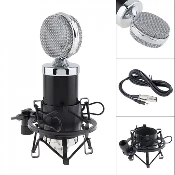 

Professional BM 5000 Condenser Microphone with Circuit Control and Gold-plated Large Diaphragm Head for Studio / KTV New