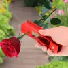 Garden Supplies