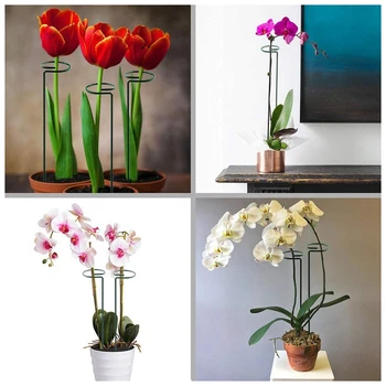 

5 Pack Plant Support Stakes Garden Single Stem Amaryllis Plant Cage Support Rings for Tomatoes Orchid Lily Peony Flower Stem