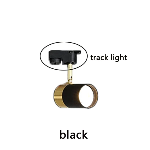 Track light-black