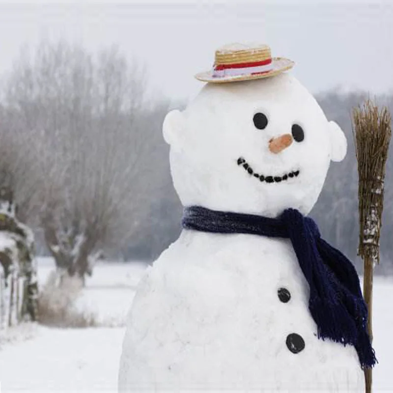 Креативный снеговик. Снеговики настоящие. Снеговик. Смешные снеговики. Снеговик.