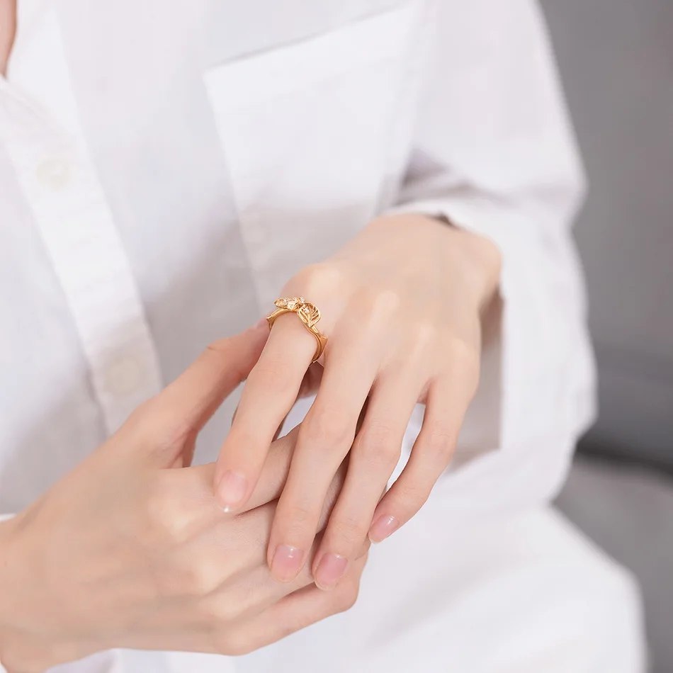 E008084，R008083 (19)