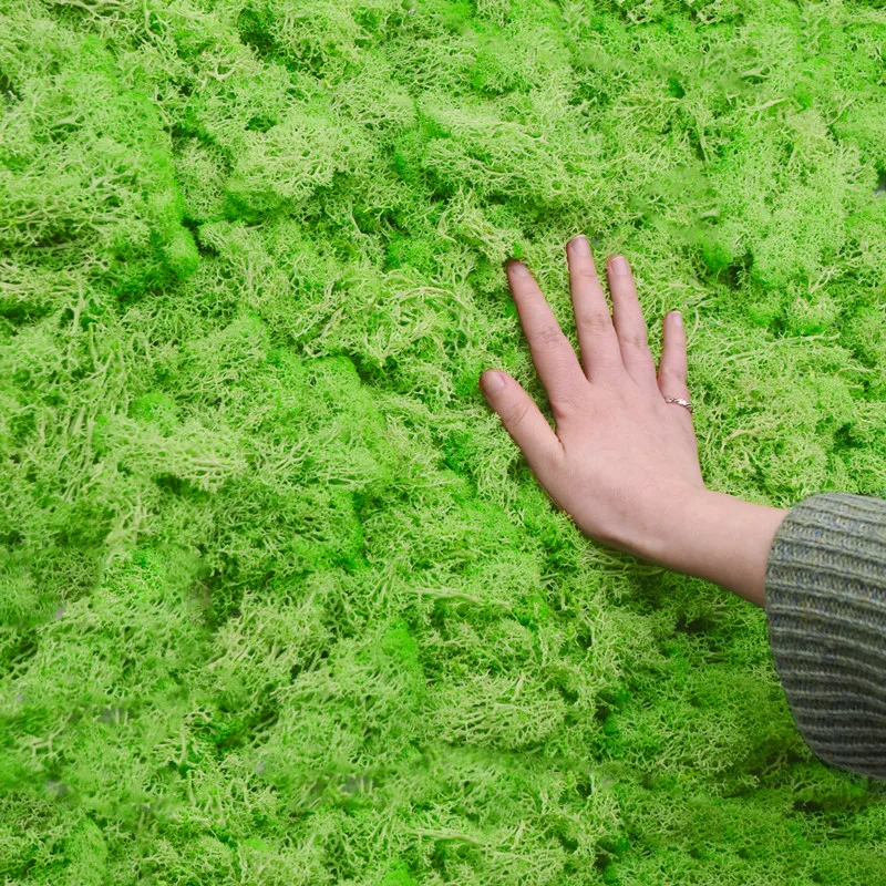 20/40g Natural High Quality Artificial Plant Moss DIY Home Wall Garden Ornament Micro Landscape Fake Flowers Decoration Material