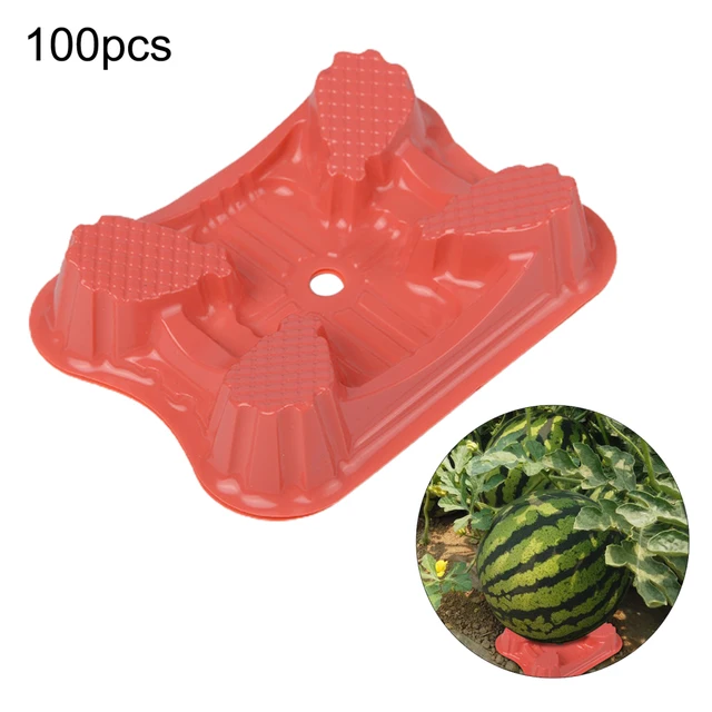 Dinnye És Gyümölcs Botanikai Tálca Kerti Támogató Védőkertészeti Szerszámok Narancssárga 3 X 10,6 2,8 Cm Újrafelhasználás Kiváló Minőségű 100 db - Image 4