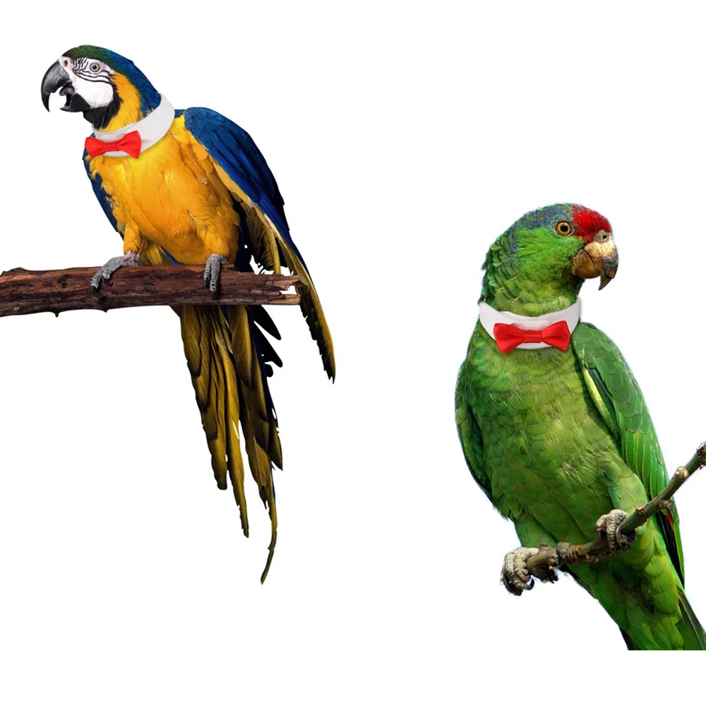 Adjustable Pet Parrot Collar Pet Neck Tie Bird Parrot Bowknot Tie Pet Bow Ties Pet Supplies Christmas Decoration
