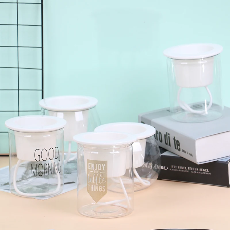7Styles plastic clear self watering flower pot for plants, desktop pot self watering planter, pot for plants for home decoration
