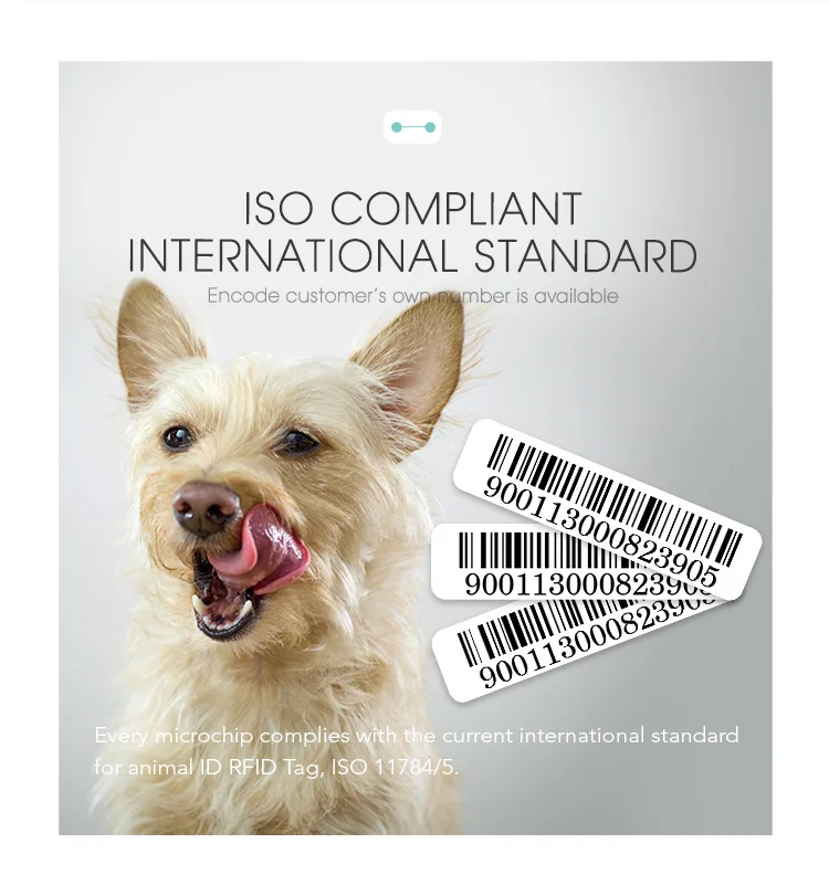 2x12mm animal syringe (13)